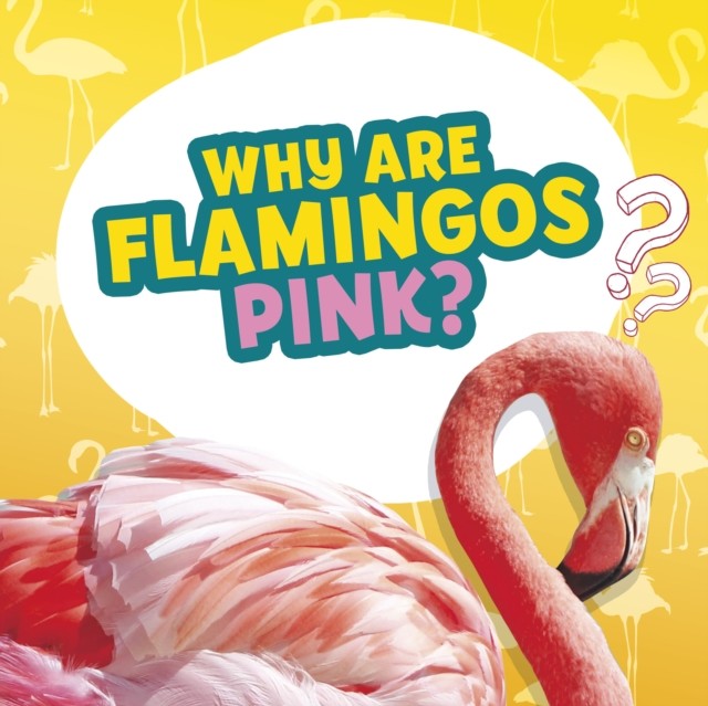 Why Are Flamingos Pink? by Nancy Dickmann (Hardback Book)