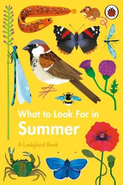 What To Look For In Summer | Elizabeth Jenner | Buch | A Ladybird Book | 48 S.-image