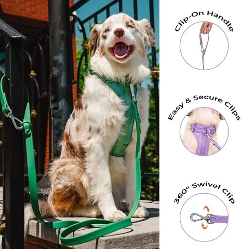 Dog Harness and Leash Set |  No Pull Dog Harness and Waterproof Medium Lilac