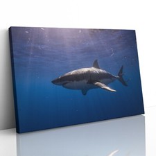 Great White Shark Canvas Print Picture Framed Wall Art Poster Paper Cage Diving