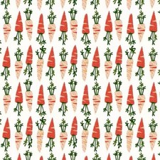 Studio E Neighborhood Association by Timna Tarr 8422S 01 Carrots Cotton