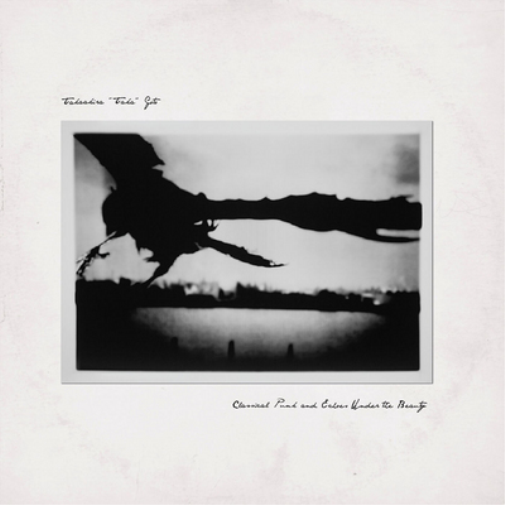 Takaakira "Taka" Goto Classical Punk and Echoes Under the Beauty (Vinyl LP)