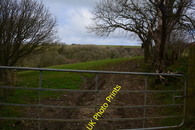 Photo 6x4 Torridge : Grassy Field & Gate Blegbury A grassy field beyond t c2016