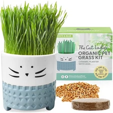 Cat Gifts, Natural Hairball Remedy, Pet Grass for Cats, Soil and Ceramic Ca