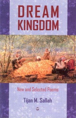 Tijan M. Sallah Dream Kingdom (Taschenbuch)