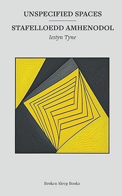 Unspecified Spaces, Tyne, Iestyn