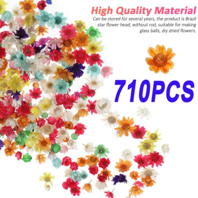 710Pcs Pressed Real Dried Flowers Leaves For Epoxy Resin Jewelry Making Nail DIY