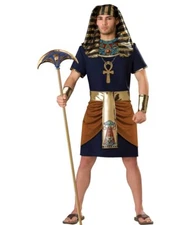 Adult Egyptian King Pharaoh Costume By Incharacter Size 3XL Halloween Dress Up