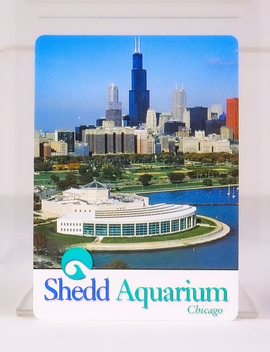 Vintage Chicago Shedd Aquarium PLAYING CARDS Complete Deck in Original Box RARE - Picture 9 of 9