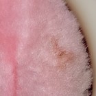 Picture 5 of 11