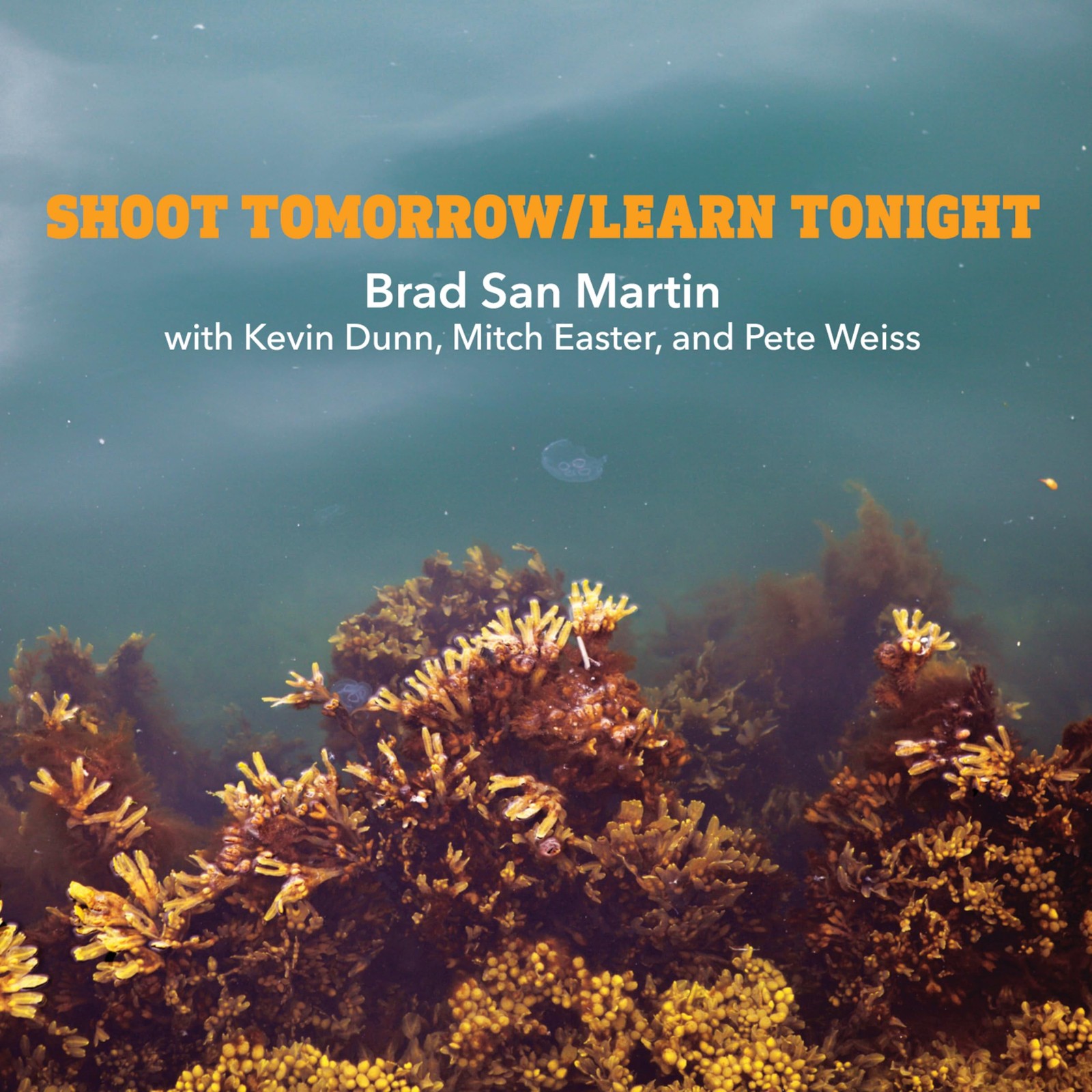 Brad San Martin Shoot Tomorrow / Learn Tonight (CD)