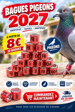 20 Bagues oiseaux en plastique plexi alu 2027 pigeons voyageur 08mm