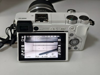 Sony Alpha A6000 24.3MP Mirrorless Digital Camera with 16-50mm Lens-English
