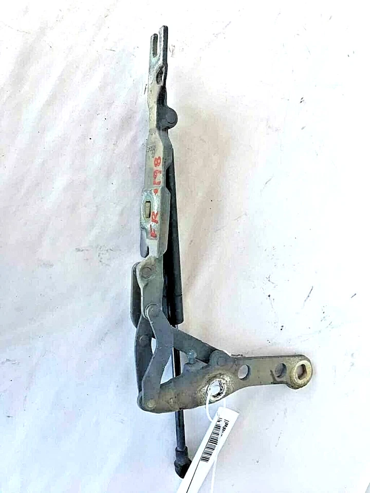 BMW 325i 2004 capó del motor delantero bisagra capó liberación con puntal derecho diestro usado Foto 2 de 4