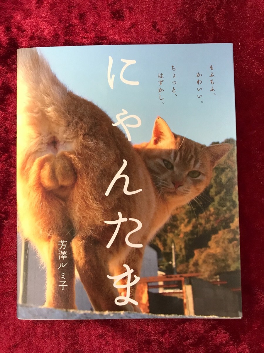Japanese Photo BookPicture Book NYAN-TAMA Cat Testicles Male Cats