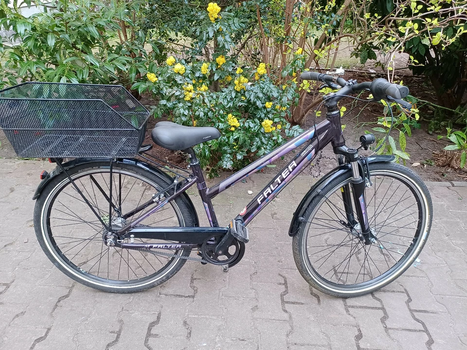 FALTER FX 607 PRO, Trapez 38, 7Gang Nabenschlt., lila-glanz, Riemenantr., 14,9kg