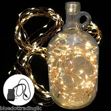 NEW Warm White 32FT Copper Wire 100LED String Wedding Party Fairy Lights+Adapter