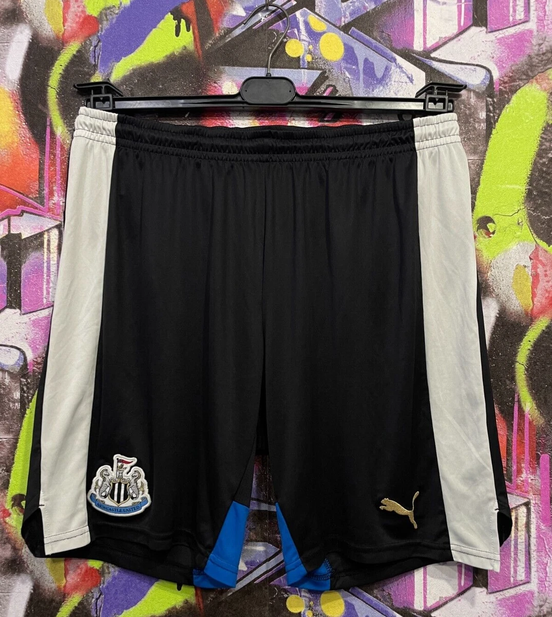 Puma shorts best sale soccer