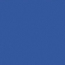 RUST-OLEUM 248291 Epoxy Activator/Finish,Safety Blue,1 gal 4DNA8