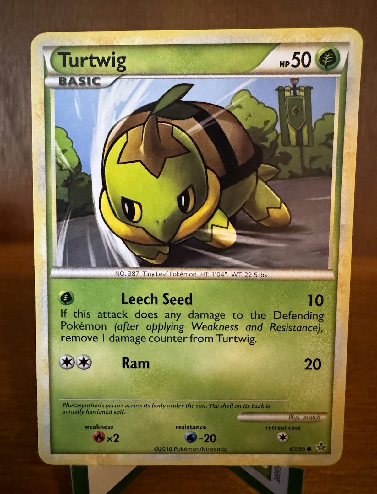 Turtwig 67/95 Unleashed English Regular Common Basic HP 50