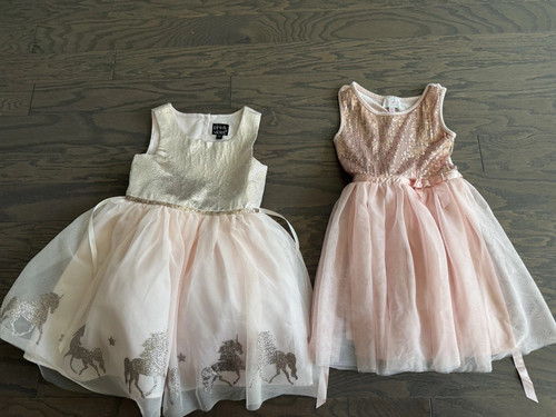 Girls Dress Lot Sz 5 Girl Pink Tulle A-Line Dress Easter Princess Horses