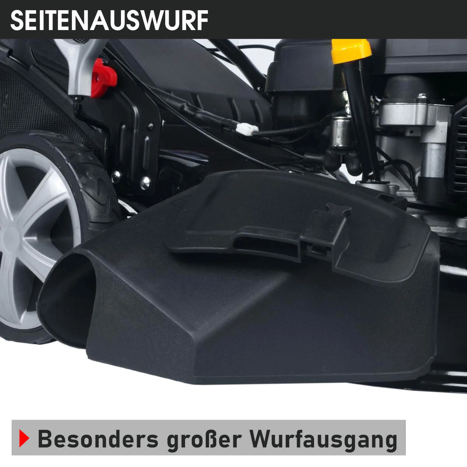 Bild 14 von 16