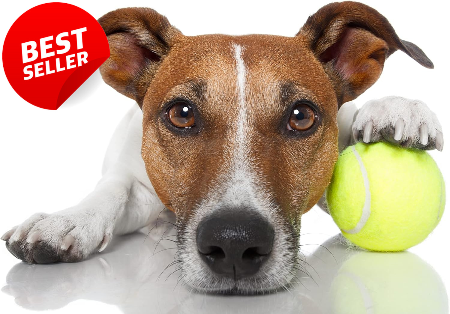 Advanced Tennis Balls Bulk 30/50/100 Durable Practice Dog Training Ball - US