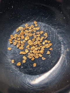 0.100 Gram Calif. High Purity Raw Placer Gold From The Beautiful Yuba River.