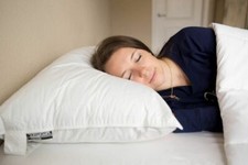 Pillowtex Premium Polyester Fill Pillow