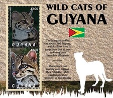 Product Image: Guyana 2021 - Wild Big Cats - Souvenir Stamp Sheet - Scott #4698 - MNH