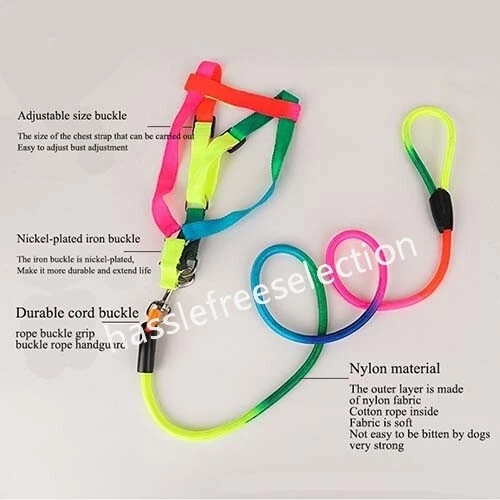 Rainbow Nylon Dog Pet Puppy Lead Leash Training Rope Recall Obedience Slip Walk