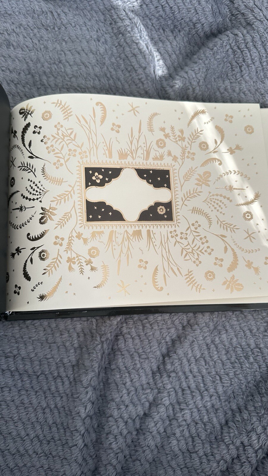 Picture 9 of 14