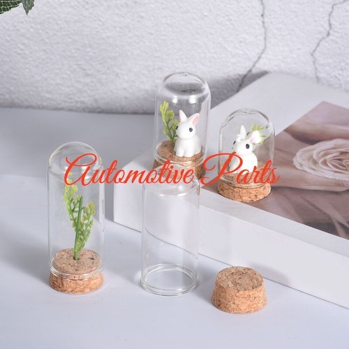 Vitrina de 24 piezas de vidrio con cúpula de vidrio con base de corcho de 1,57 x 1,18 pulgadas - Imagen 5 de 5