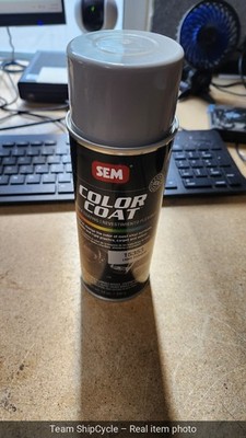 COLOR COAT  Light Titanium 15353 SEM 15353 4064678615353 G1N