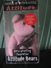 Vintage 1999 World Wrestling WWF Sable Attitude Bear With Plastic Case