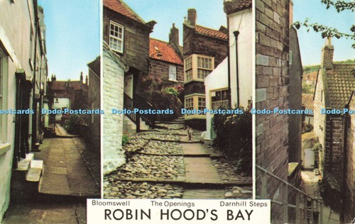 R685312 Robins Hood Bay. Bloomswell. Die Öffnungen. E. T. W. Dennis. Multi View