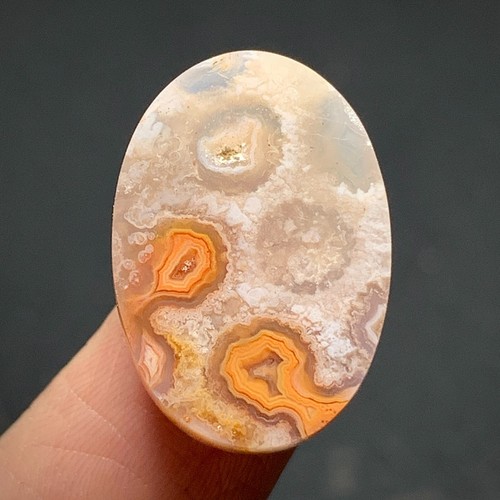 Natural Coral Fossil Cabochon 22x15x6mm High Quality 17 ct - Picture 7 of 7
