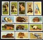 CIGARETTE/TRADE/CARDS. Hornimans Tea. PETS. (1960). (Complete Set of 48).