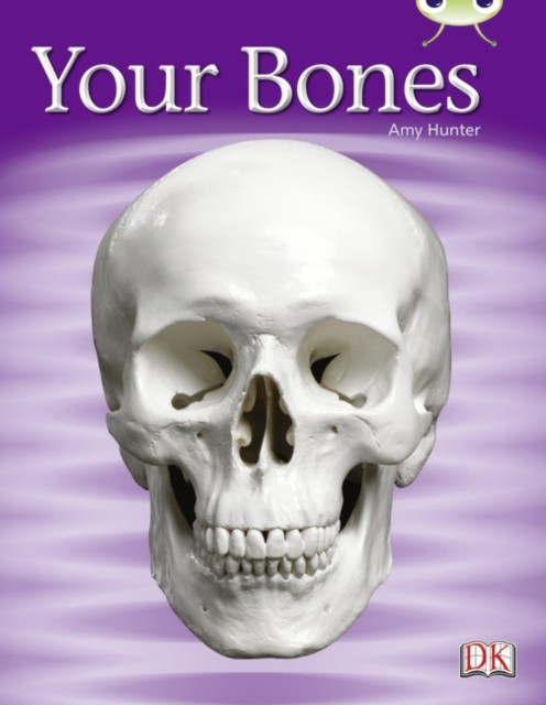 Bug Club Non-fiction Green C/1B Your Bones 6-pack by Amy Hunter