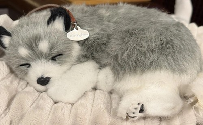 #ad Perfect Petzzz Alaskan Husky Pet Sleeping Dog Tested Working life like $17.00