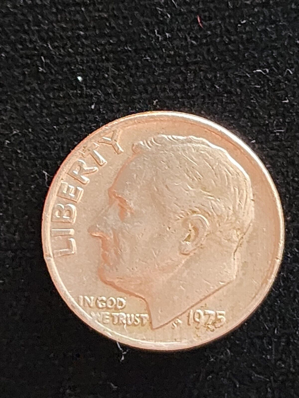 Picture 5 of 6