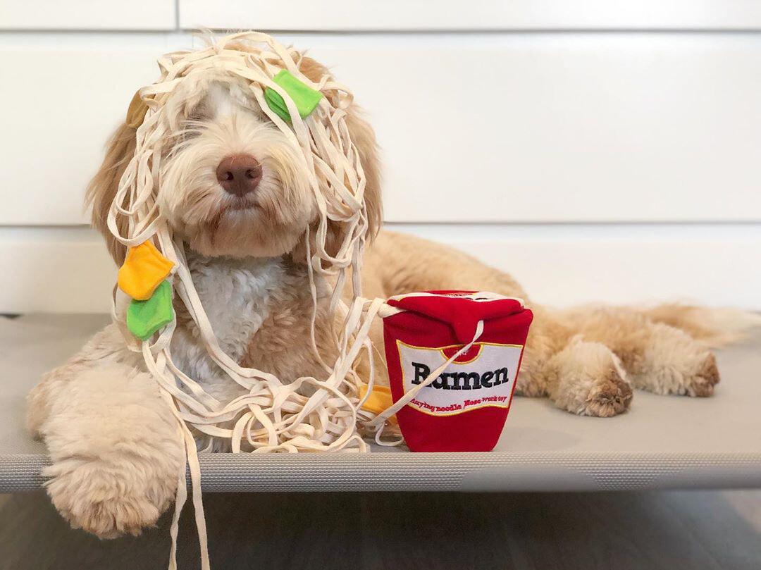 Pet Dog Sniff Interaction Toy Nose Smell Training Sniffing Pad