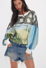 Free people Gaia Sweatshirt  Seaside Kitten Combo Size S