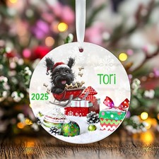 Kids Christmas Ornament-Dog Lover Personalized Gift-Kids Stocking Stuffer Gift