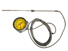 NEW Weksler 41GPY00GF20Y Thermometer