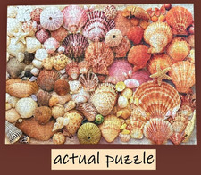 Galison Vibrant Seashells Puzzle 1000 Piece with Poster Beach Coastal COMPLETE 