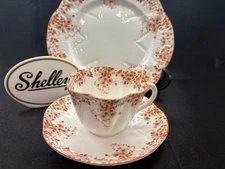 SHELLEY  DAINTY BROWN DAISY   051/B   CUP, SAUCER & 8" PLATE   *  BROWN TRIM
