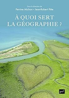 À quoi sert la géographie ? von Michon perrine/pitt... | Buch | Zustand sehr gut
