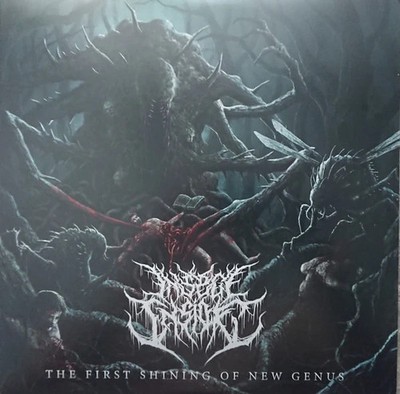 USED: Insect Inside - The First Shining Of New Genus (LP, Album) vinyl - grading