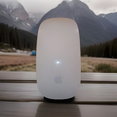 Apple First Generation Magic Mouse